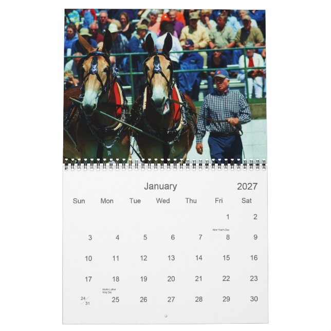 Maultiere und Esel Kalender (Jan 2027)