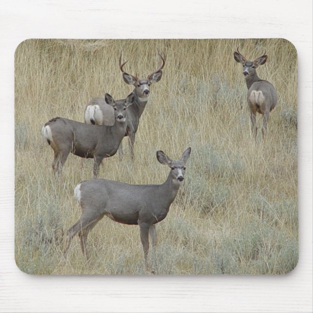 Maultierhirsch D18 Mousepad (Vorne)