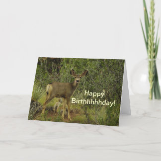 Maultierhirsch-Himbeergeburtstag Karte