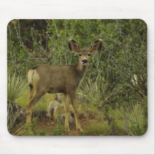 Maultierhirsch-Himbeermausunterlage Mousepad