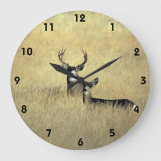 Maultierhirsch in Kalifornien-Wanduhr Große Wanduhr