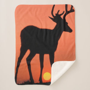 Maultierhirsch oder Schwarzwedelhirsch Olympic-N Sherpadecke