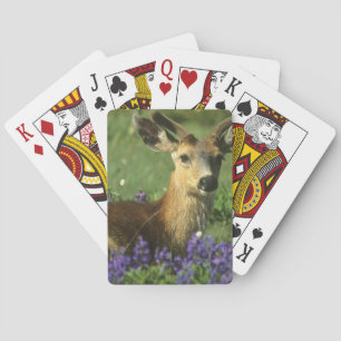 Maultierhirsch, Odocoileus hemionus Spielkarten