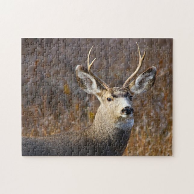 Maultierhirsch. Puzzle (Horizontal)