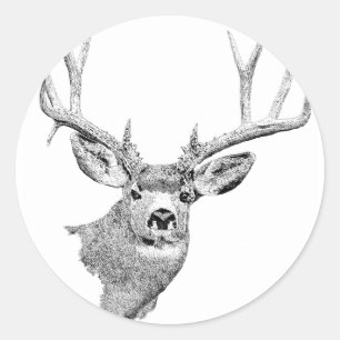Maultierhirsch Runder Aufkleber