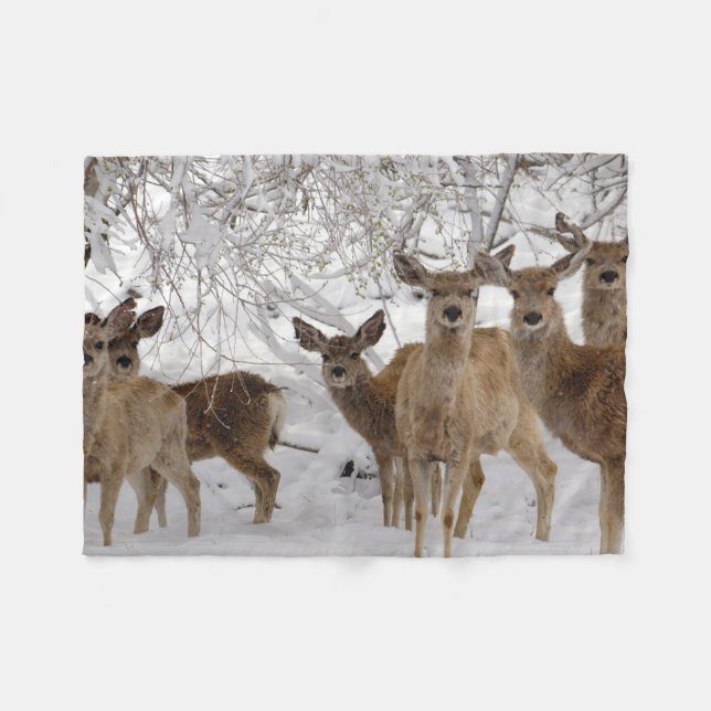 Maultierhirsch Wyoming Fleecedecke (Vorderseite (Horizontal))