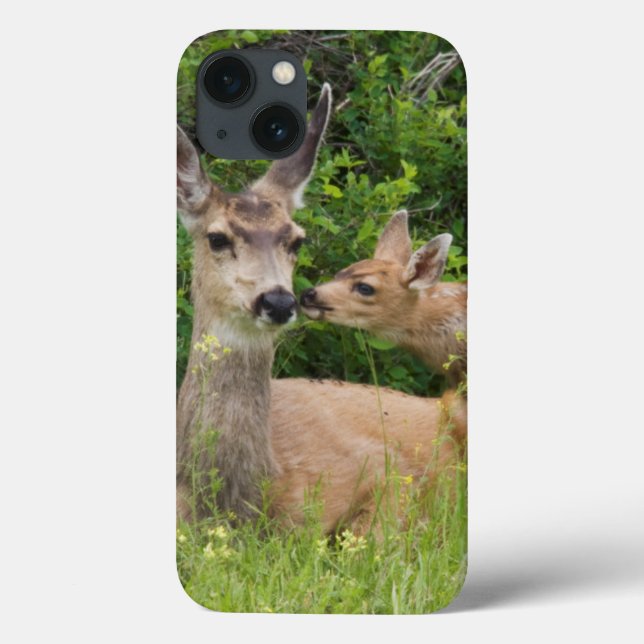 Maultierhirschweibchen mit Kitz Case-Mate iPhone Hülle (Rückseite)