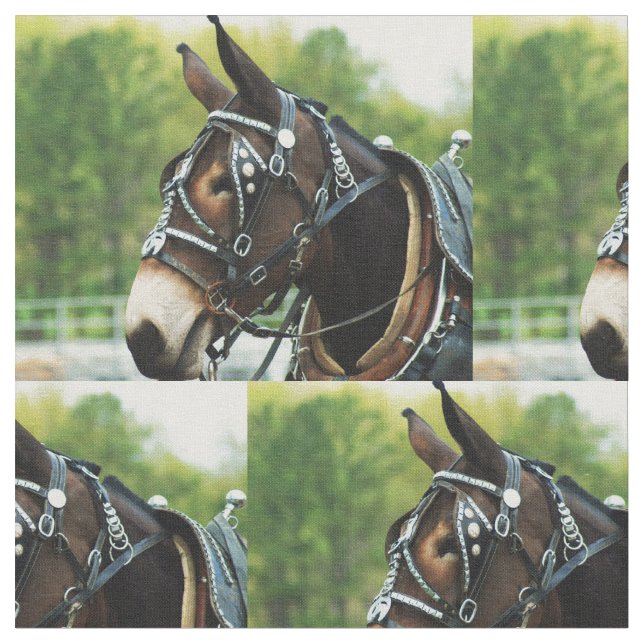 Maultiertag Stoff (Nahaufnahme)