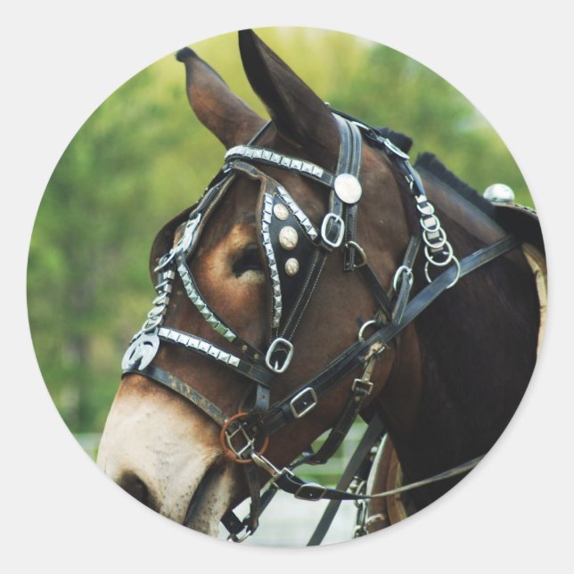 Maultiertage Runder Aufkleber (Vorderseite)