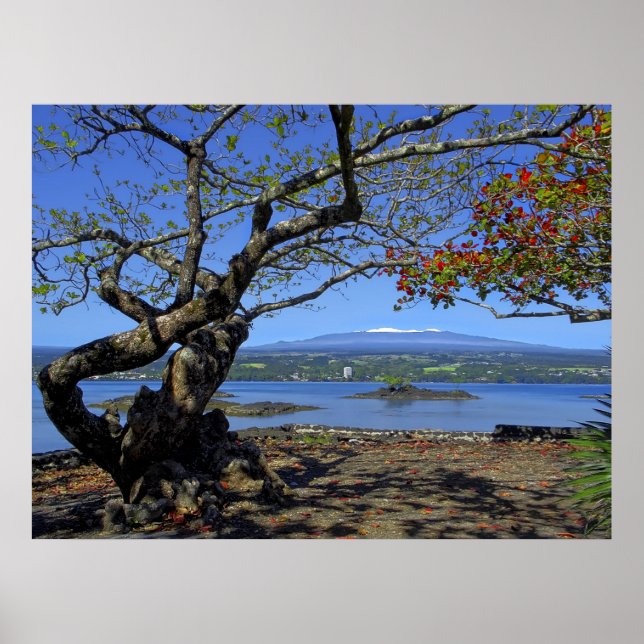 MAUNA KEA OVER HILO BAY POSTER (Vorne)