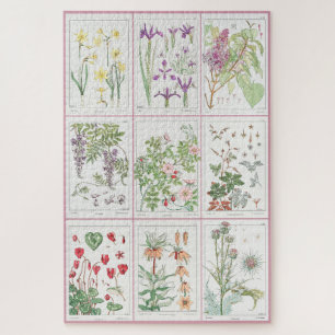 Maurice Pillard Verneuil Botanische Illustrationen Puzzle