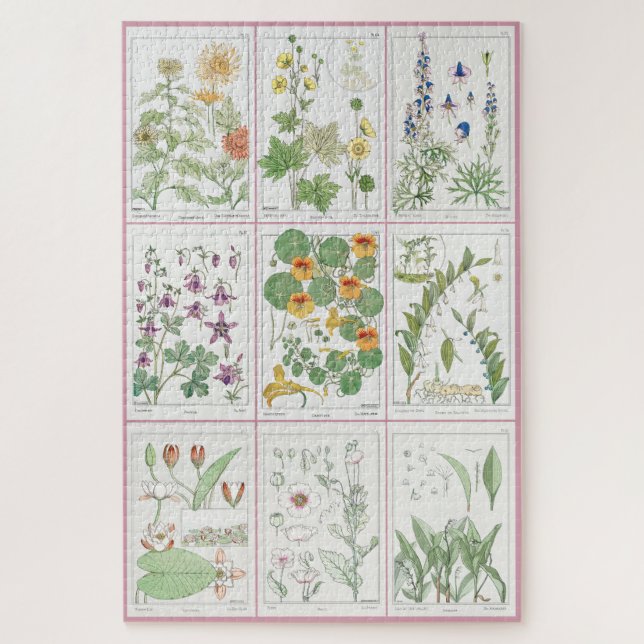 Maurice Pillard Verneuil Botanische Illustrationen Puzzle (Vertikal)