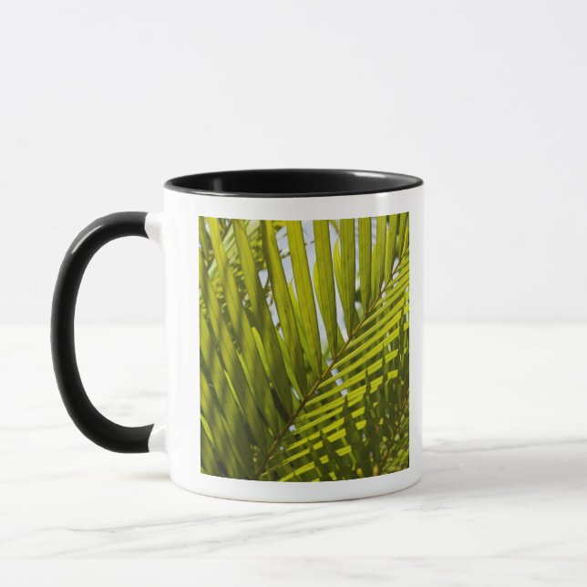 Mauritius, Central Mauritius, Moka, Palme 2 Tasse (Links)