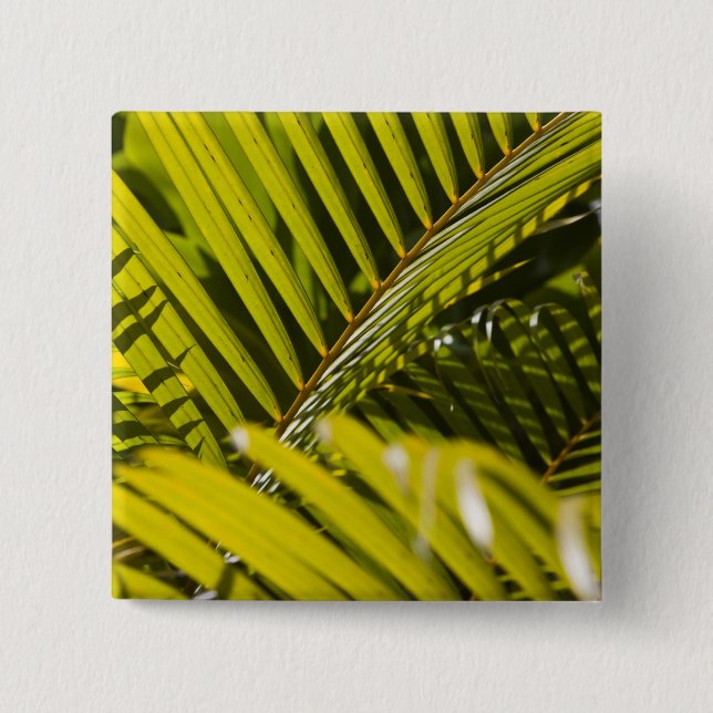 Mauritius, Central Mauritius, Moka, Palme Button (Vorderseite)