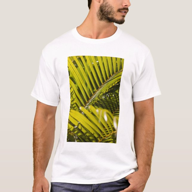 Mauritius, Central Mauritius, Moka, Palme T-Shirt (Vorderseite)
