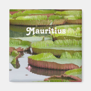 Mauritius-Lilien-Auflagen Magnet