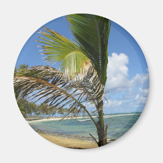 Mauritius Magnet (Vorne)