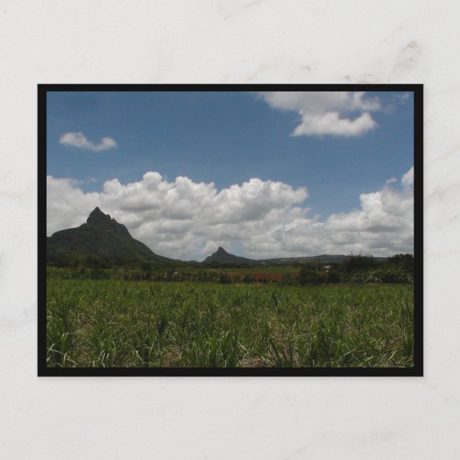 Mauritius / Maurice Postkarte (Vorderseite)
