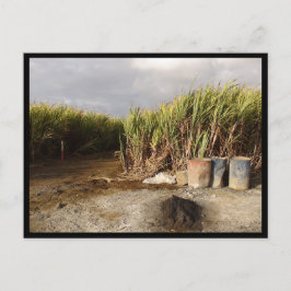 Mauritius / Maurice Postkarte