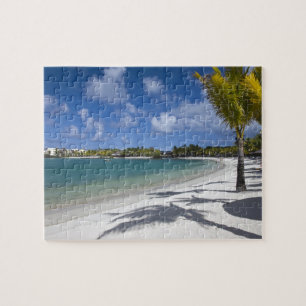 Mauritius, Mauritius, Trou d'Eau Douce, Puzzle