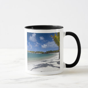 Mauritius, Östliches Mauritius, Trou d' Eau Douce, Tasse