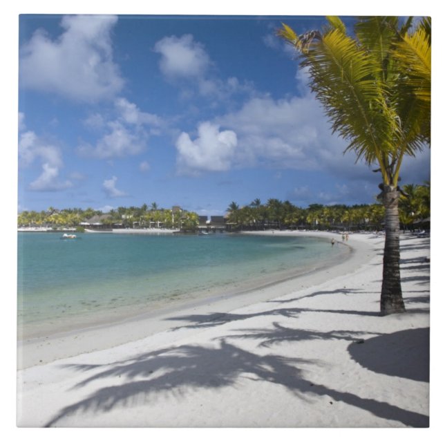 Mauritius, Ostmauritius, Trou d' Eau Douce, Fliese (Vorderseite)