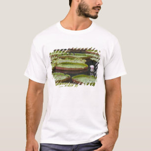 Mauritius, Pamplemousses, SSR Botanischer Garten T-Shirt