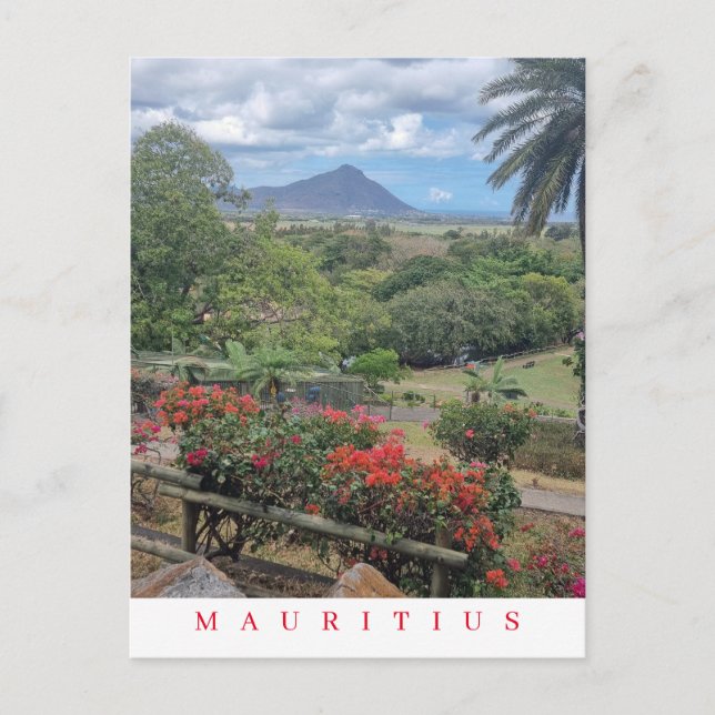 Mauritius Panoramablick Postkarte (Vorderseite)