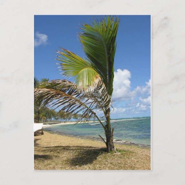 Mauritius Postkarte (Vorderseite)