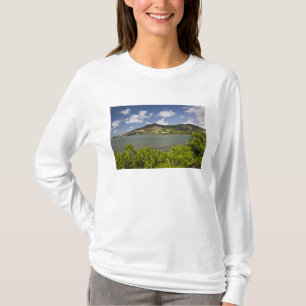 Mauritius, Südmauritius, Grand Sable, T-Shirt