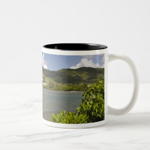 Mauritius, Südmauritius, Grand Sable, Zweifarbige Tasse