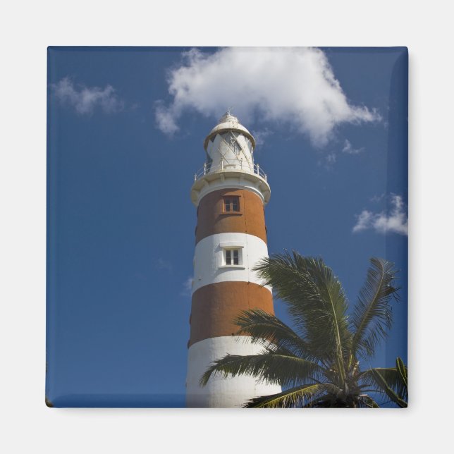 Mauritius, Western Mauritius, Belle Vue, Albion Magnet (Vorne)