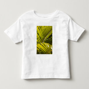 Mauritius, Zentral-Mauritius, Moka, Palme Kleinkind T-shirt