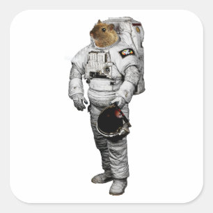 Maus Astronaut Sticker