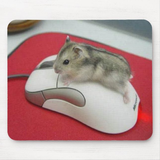 Maus auf einer Maus Mousepad (Vorne)