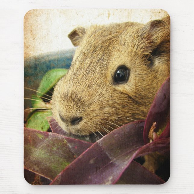 Maus die Guinea Pig Mousepad (Vorne)