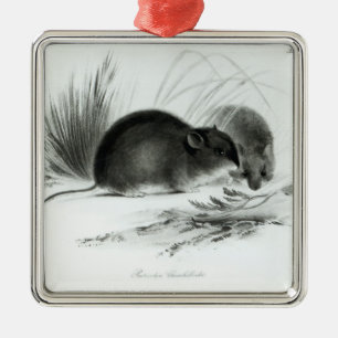 Maus, Feuerland, Südamerika c.1832-36 Ornament Aus Metall
