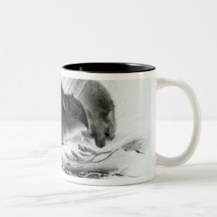 Maus, Feuerland, Südamerika c.1832-36 Zweifarbige Tasse