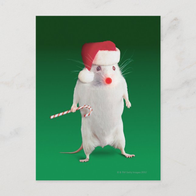 Maus gekleidet als Weihnachtsmann Feiertagspostkarte (Vorderseite)