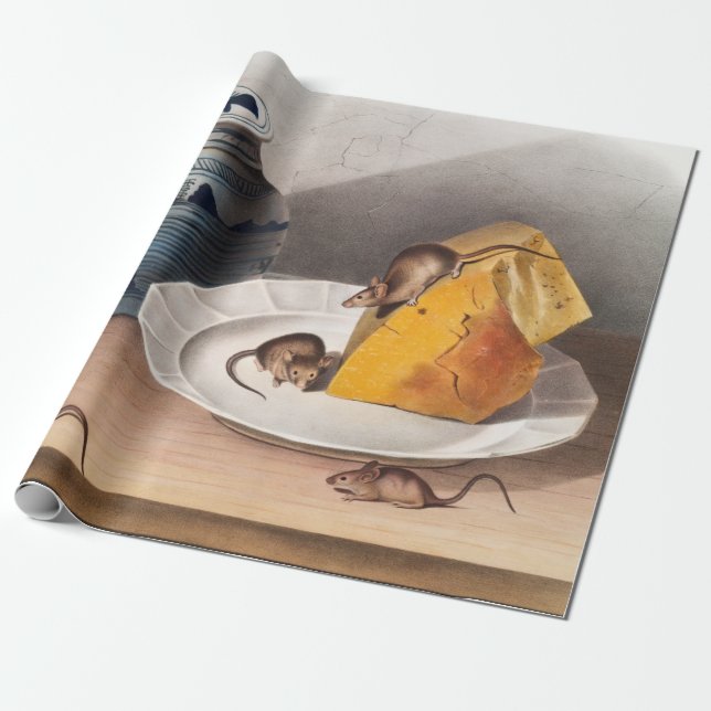 Maus (Mus-musculus) Illustration Geschenkpapier (Ungerollt)