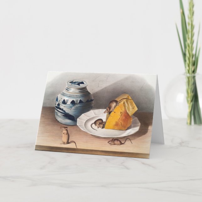 Maus (Mus-musculus) Illustration Karte (Vorderseite)