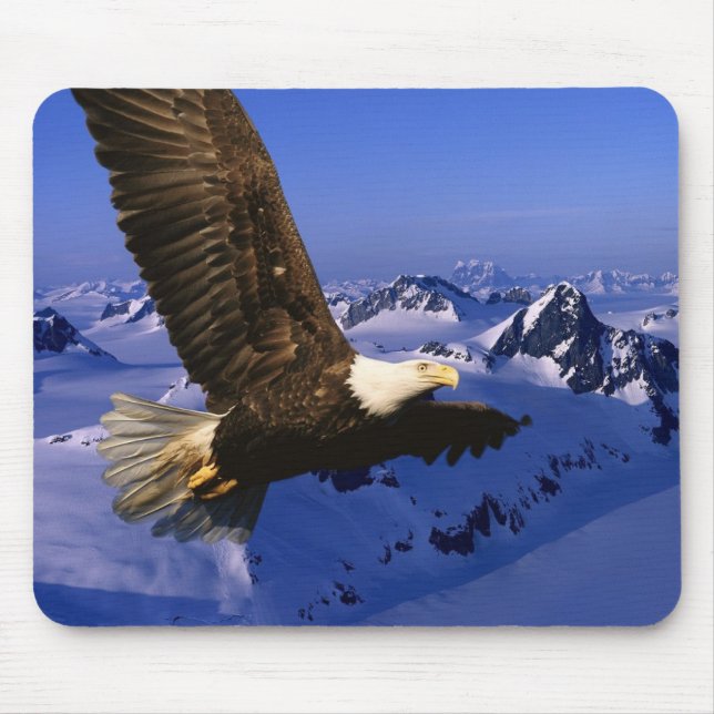 Maus Pad-Eagle Mousepad (Vorne)