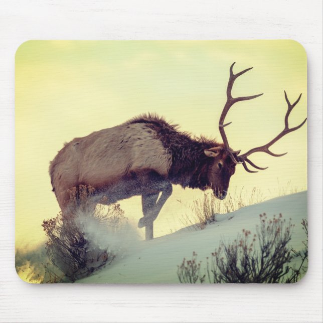 Maus-Pad Hirsche extra grandios, volle Geschwindig Mousepad (Vorne)
