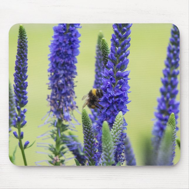 Maus Pad Mousepad (Vorne)