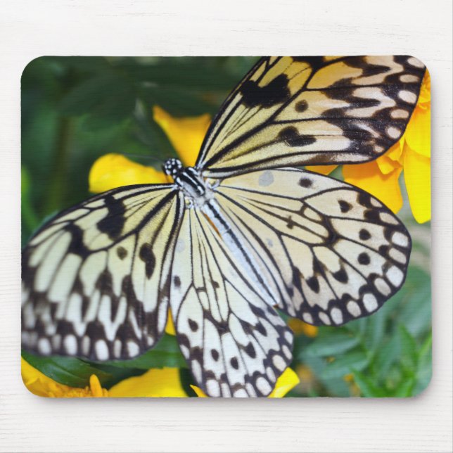Maus Pad/Paperkite Mousepad (Vorne)