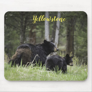 Maus Pad-Yellowstone-Bär Mousepad
