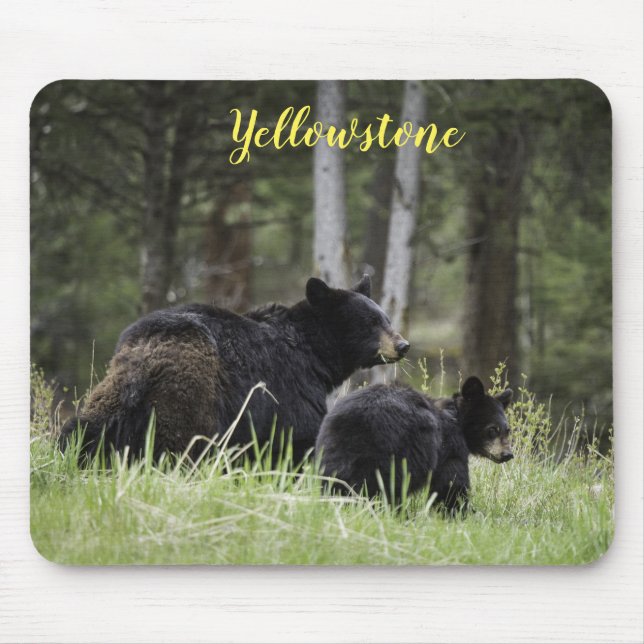 Maus Pad-Yellowstone-Bär Mousepad (Vorne)