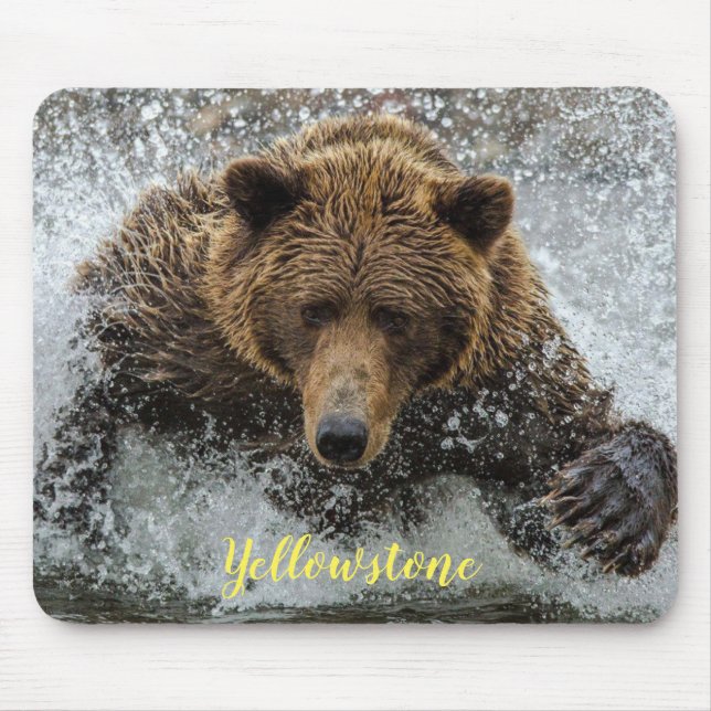 Maus Pad-Yellowstone-Bär Mousepad (Vorne)
