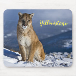 Maus Pad-Yellowstone-Löwe Mousepad