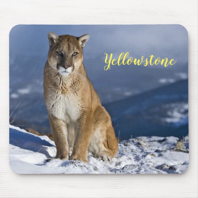 Maus Pad-Yellowstone-Löwe Mousepad (Vorne)